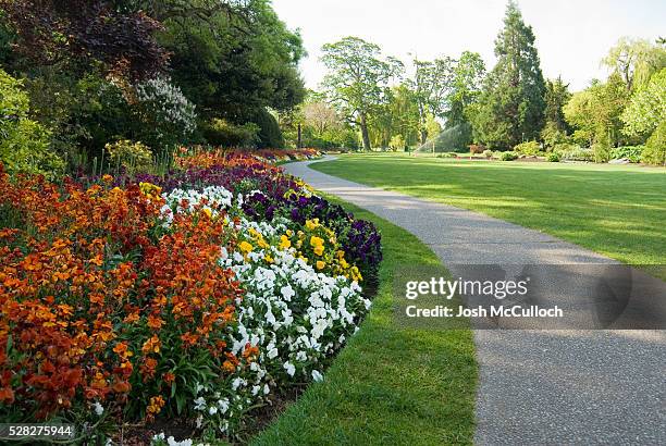 flower garden and pathway, beacon hill park, victoria, bc, canada - beacon hill park stock pictures, royalty-free photos & images