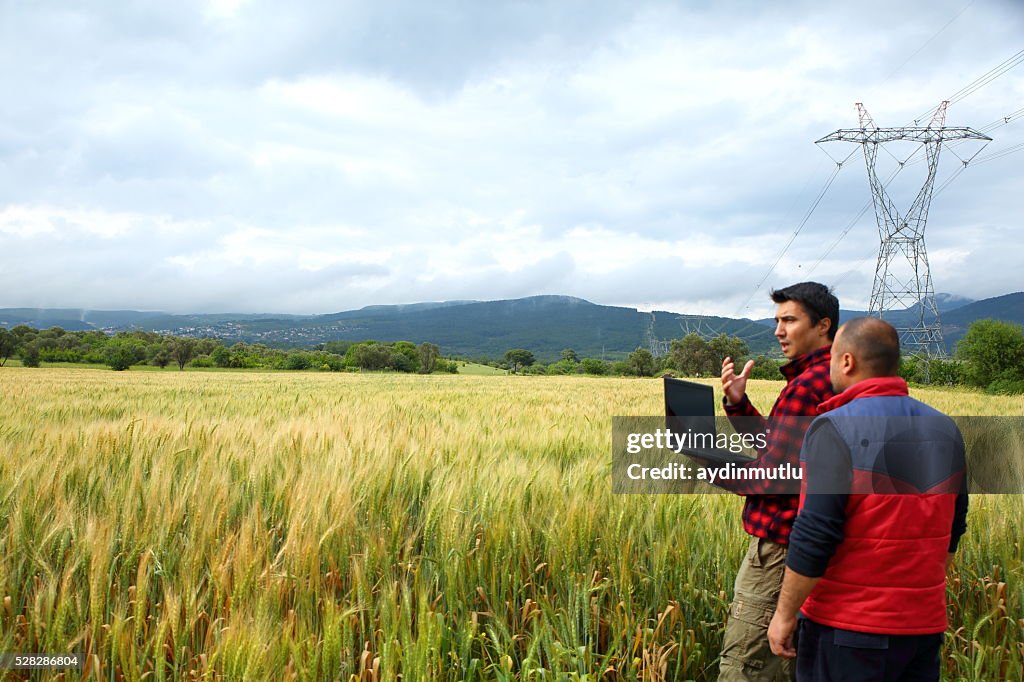 Two Farmer with laptop in wheat field