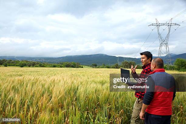 two farmer with laptop in wheat field - rural internet stock pictures, royalty-free photos & images