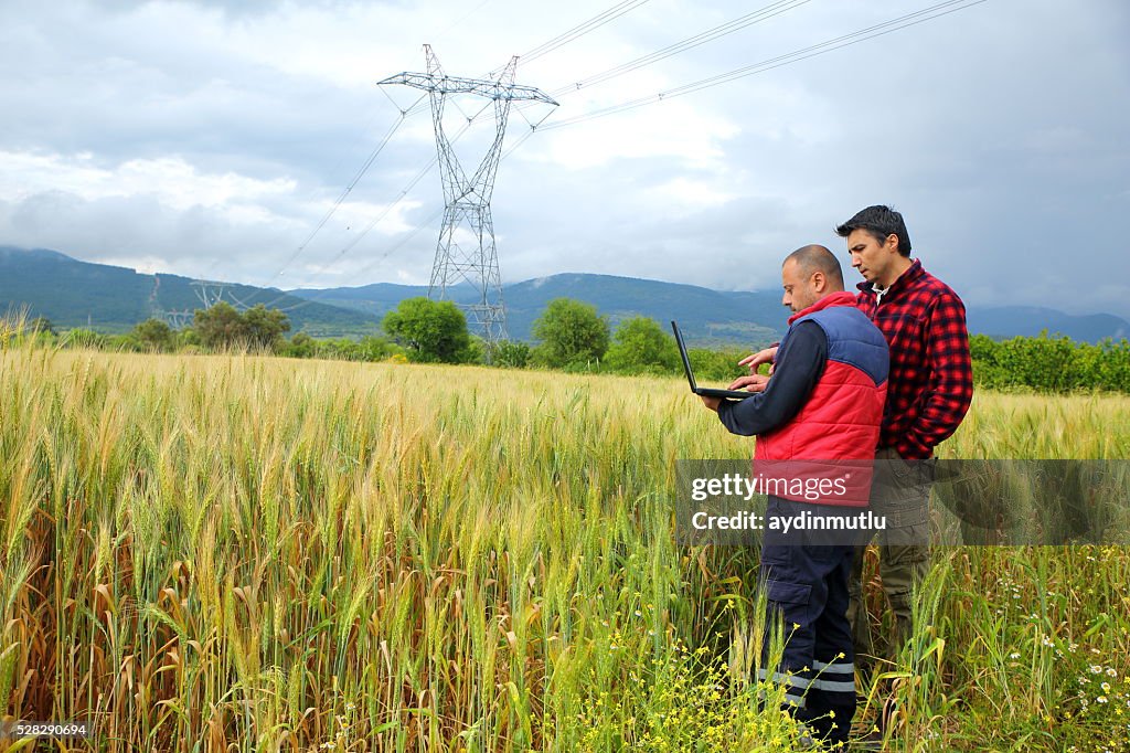 Due agricoltore con computer portatile in un campo di grano