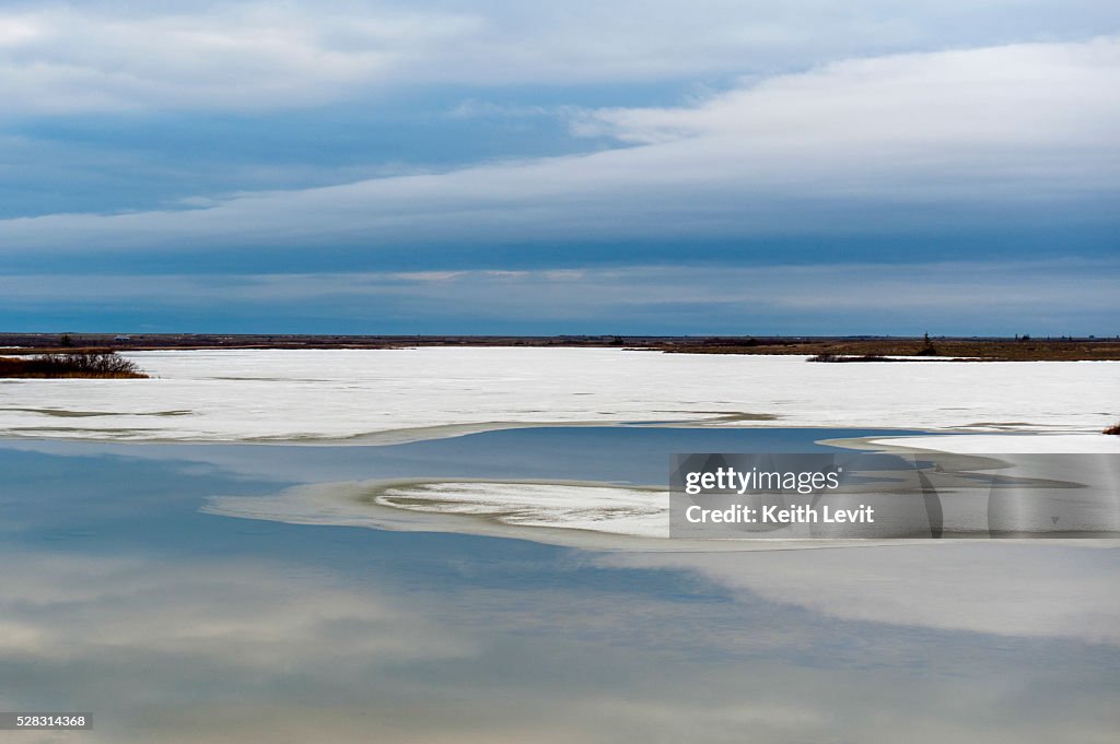 Snow and ice along the shores of hudson bay with a flat landscape; churchill manitoba canada