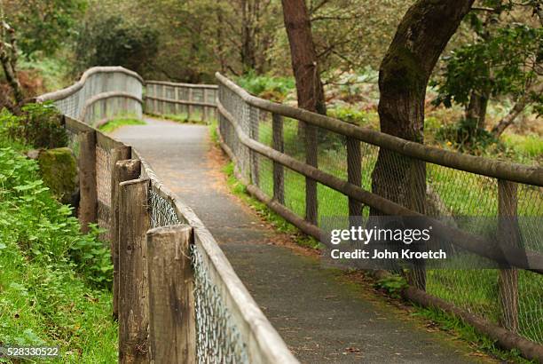 Rustic Path Railing 170 Rustic Rail Fence Stock Photos, High-Res Pictures, and Images ...