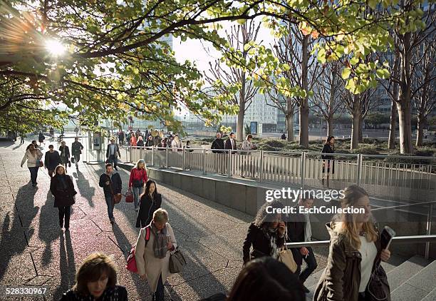 Paris Railing 6,185 French Railing Stock Photos, High-Res Pictures, and Images ...