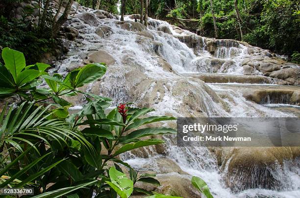 dunn's river falls; ocho rios, jamaica - dunns river falls stock pictures, royalty-free photos & images