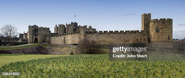 alnwick castle; alnwick, northumberland, england - circa 11th century stock pictures, royalty-free photos & images