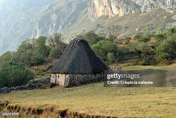 cabaña de piedra y paja - paja stock pictures, royalty-free photos & images