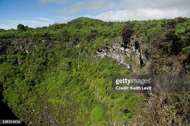 pit craters at los gemelos; santa cruz island, galapagos, equador - gemelos stock pictures, royalty-free photos & images