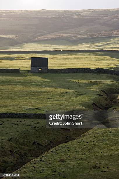 weardale, england; stone building in fields - weardale stock pictures, royalty-free photos & images