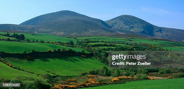 Danu Rathmore 33 Rathmore Stock Photos, High-Res Pictures, and Images - Getty Images