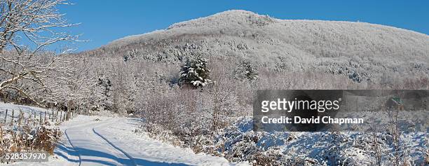 snow covered trees on a mountain; iron hill quebec canada - quebec icy trail stock pictures, royalty-free photos & images