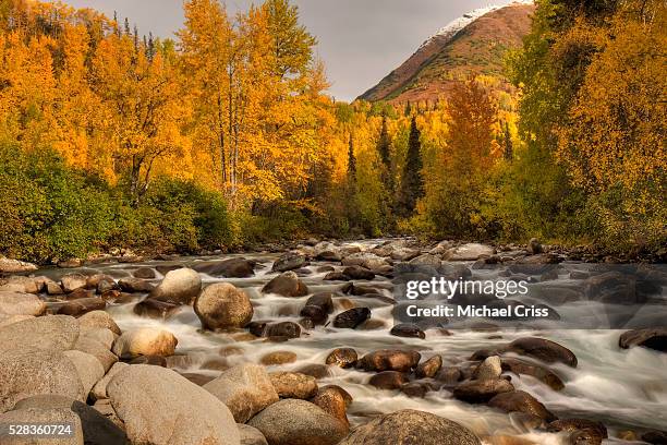 scenic view of the little susitna river at the entrance to hatcher pass during autumn in southcentral alaska, hdr image - mt susitna stock pictures, royalty-free photos & images