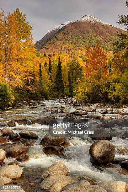 scenic view of the little susitna river at the entrance to hatcher pass during autumn in southcentral alaska, hdr image - mt susitna stock pictures, royalty-free photos & images