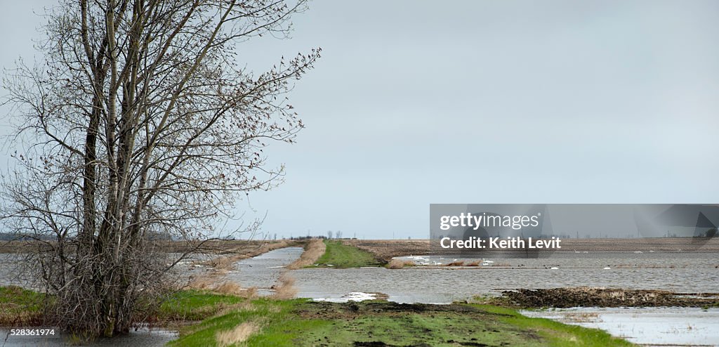 High Water Levels In Assiniboine River And A Washed Out Road After Flooding; St. Francois Xavier, Manitoba, Canada