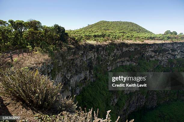 pit craters at los gemelos; santa cruz island, galapagos, equador - gemelos stock-fotos und bilder