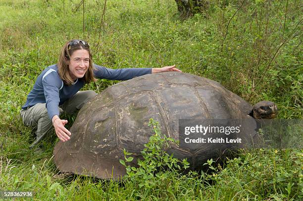 a man holds out his arms to span the width of a tortoise shell; galapagos equador - arm span stock pictures, royalty-free photos & images