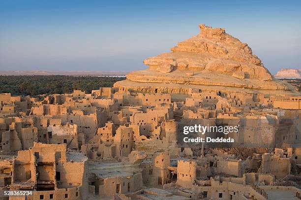 the 13th century mud-brick fortress of shali, siwa town, siwa oasis, egypt, africa - siwa photos et images de collection