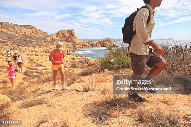 hikers along a scenic desert trail; baja california sur mexico - baja california sur stock pictures, royalty-free photos & images