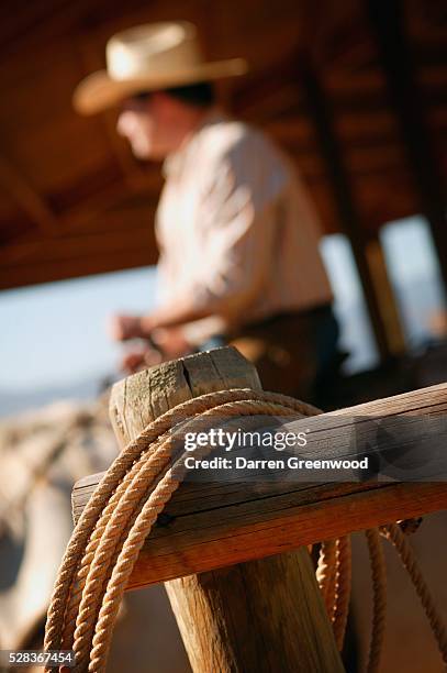 Christmas Live Roping Christmas Roping Photos and Premium High Res Pictures - Getty Images