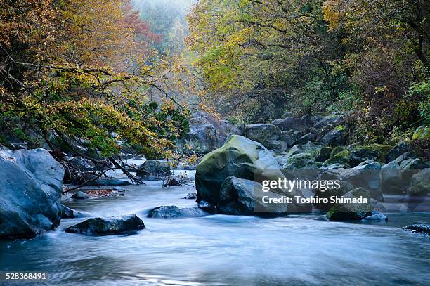 river current in autumn - minami alps foto e immagini stock