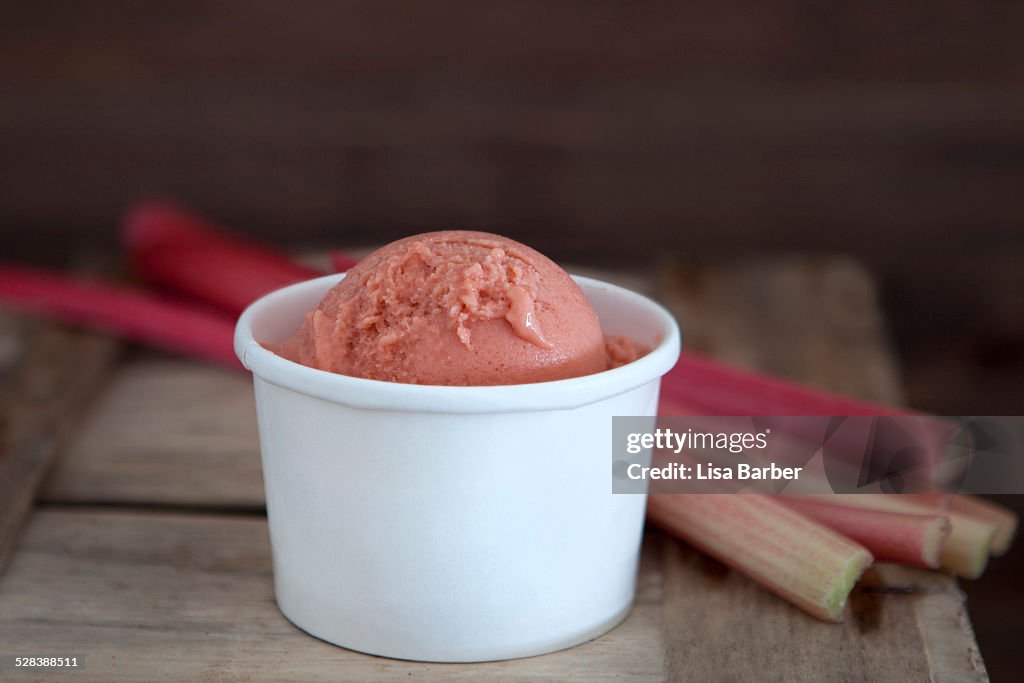Rhubarb ice cream in tub