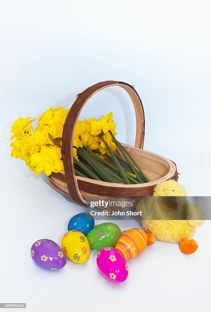 A Basket Of Yellow Flowers And Plastic Easter Eggs With A Stuffed Yellow Chick; Northumberland England
