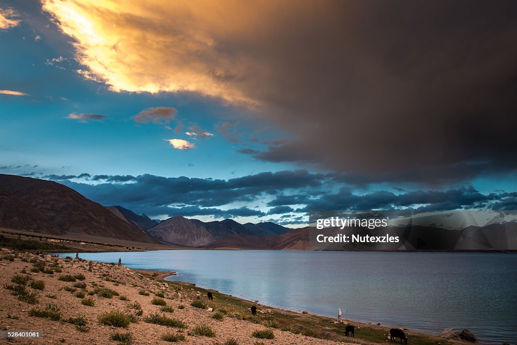 Pangong lake