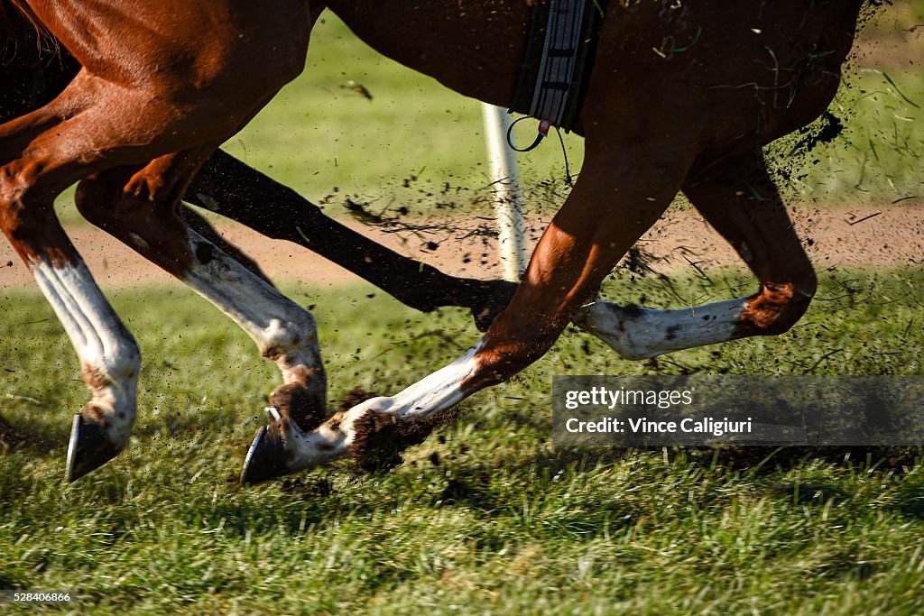 Warrnambool Racing - Grand Annual Day