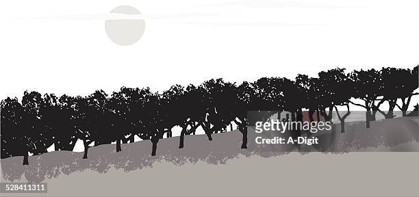orchardview - peach orchard stock illustrations