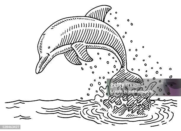 jumping dolphin sea water splash drawing - dolphins stock illustrations