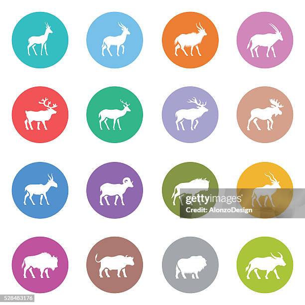 set of horned animal icons - kudu stock illustrations