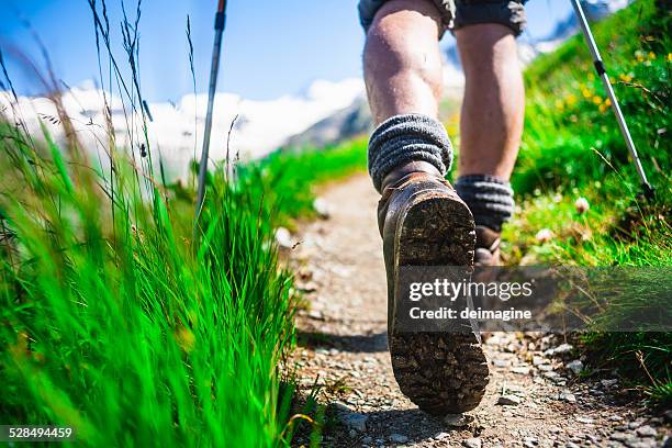 hiker on mountain trail - human leg closeup stock pictures, royalty-free photos & images