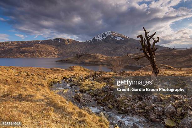 highland scapes. - loch quoich stock pictures, royalty-free photos & images