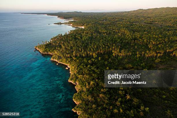 aerial view of tropical coastline - philippines stock pictures, royalty-free photos & images