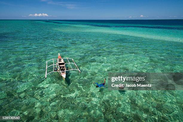 aerial view of a man collecting sea urchins. - bohol stockfoto's en -beelden