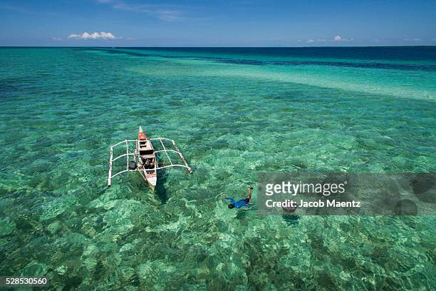 aerial view of a man collecting sea urchins. - bohol stock pictures, royalty-free photos & images