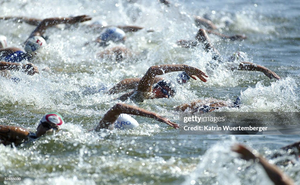 SCHWIMMEN: EM 2002, LANGSTRECKE/FRAUEN