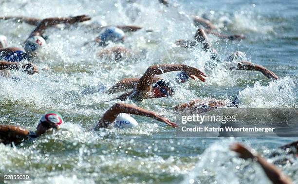 SCHWIMMEN: EM 2002, LANGSTRECKE/FRAUEN, News Photo