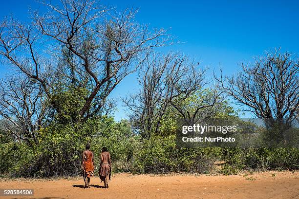 The��San��people from Grashoek in the Living Museum of the JuHoansi-San, Grashoek, Namibia