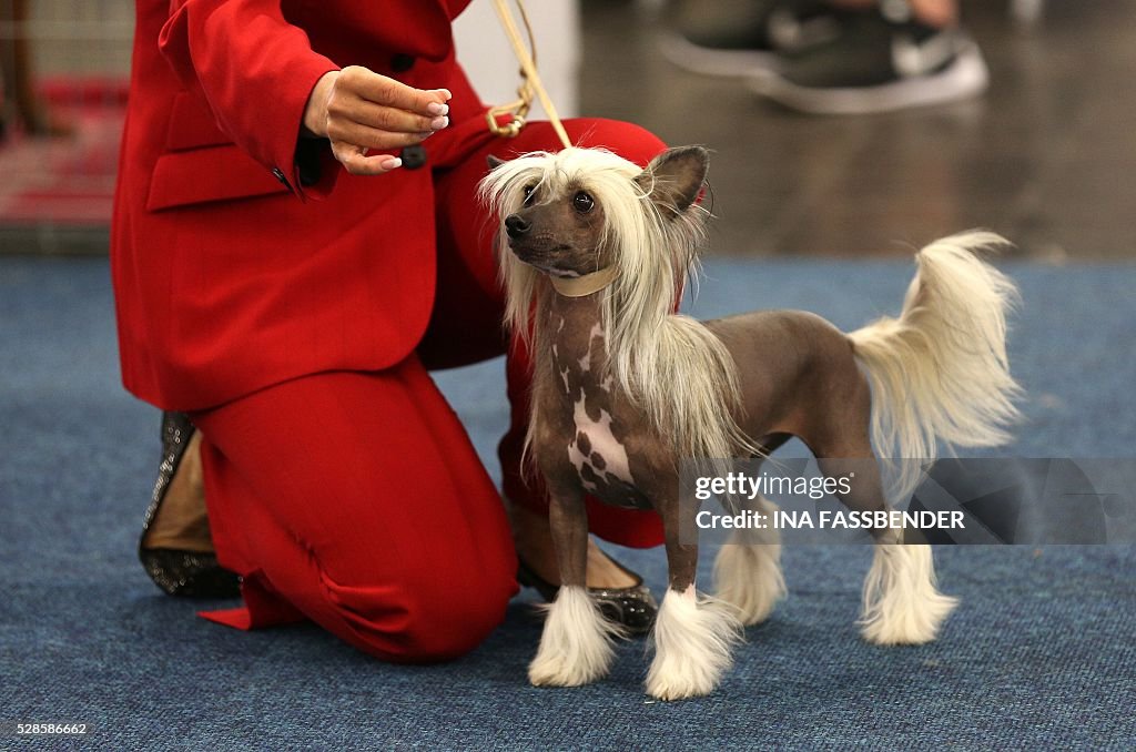 GERMANY-ANIMALS-PETS-FAIR