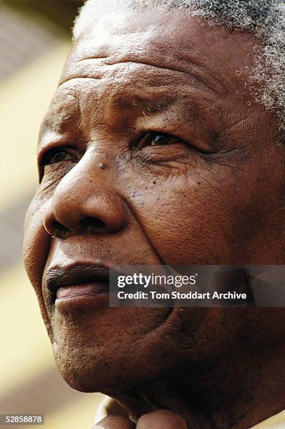 Nelson Mandela, campaigning at ANC.