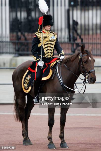 Soldier of the King's Troop Royal Horse Artillery with plumed hat raided uniform and ceremonial sword rides a traditional dark horse in the...