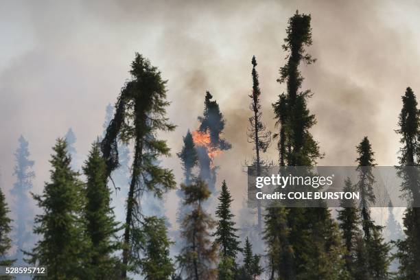 Smoke and flames can be seen along the highway near Fort McMurray, Alberta on May 6, 2016. - Canadian police led convoys of cars through the burning...