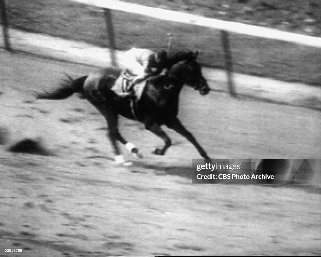 Citation Captures Triple Crown At 1948 Belmont Stakes