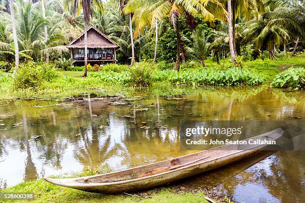 tropical resort - indonesia mentawai canoe stock pictures, royalty-free photos & images