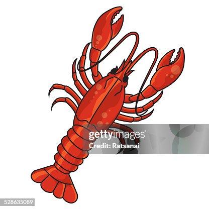 Crayfish Crayfish