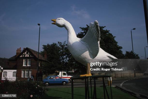 goose fair goose - nottingham goose fair stock-fotos und bilder