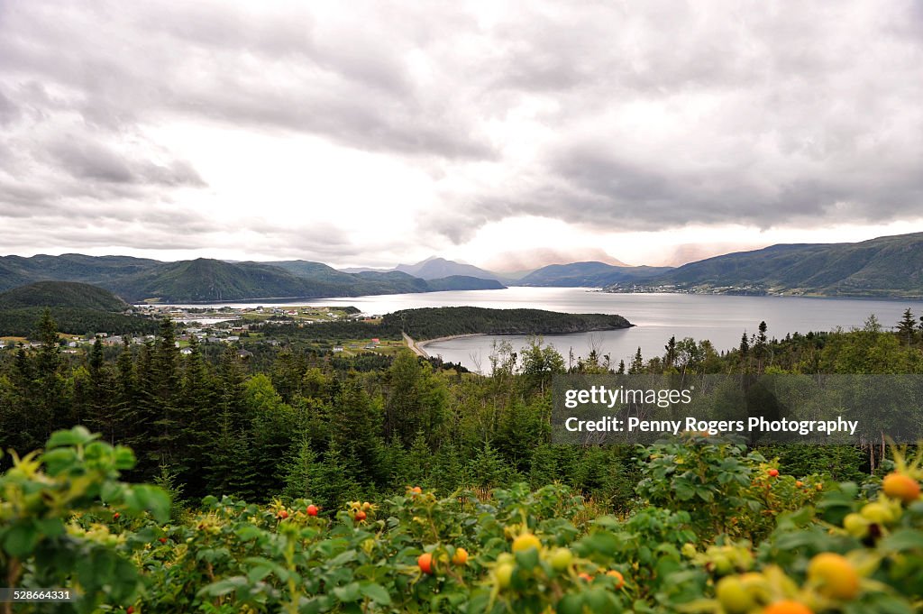 Norris Point Lookout