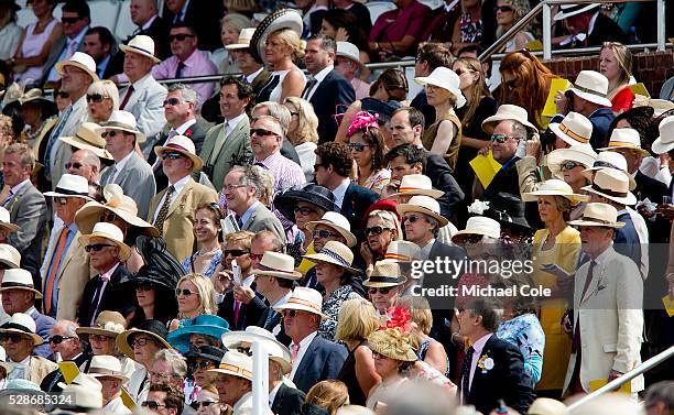 Spectators, The Richmond Enclosure at 'Glorious Goodwood' Goodwood Racecourse 31st July 2014