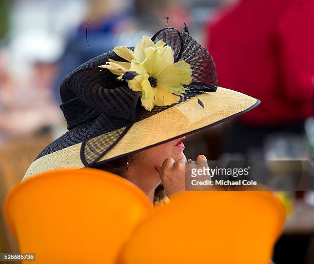 Stylish ladies at 'Glorious Goodwood' on Ladies Day, Goodwood Racecourse 31st July 2014