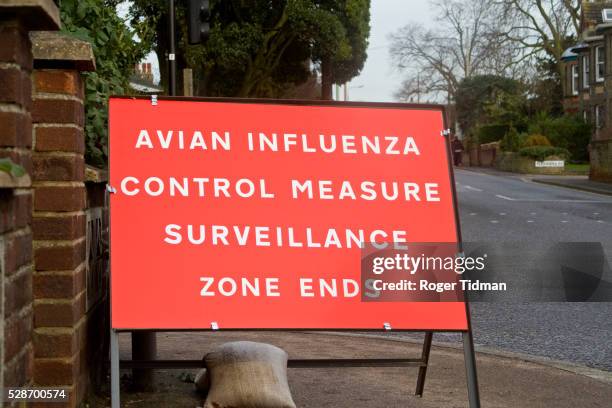 bird flu sign at intersection - vogelpestvirus stockfoto's en -beelden